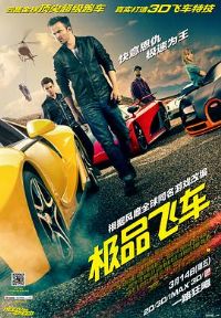 ��Ʒ�ɳ� Need for Speed[��Ӱ��˵]