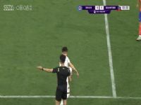 ��Э���ڶ��ֱ��� ���ڼ���VS�ӱ����� 20250419