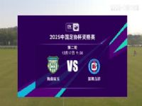 ��Э���ʸ��� ����˫��VS���ڼ��� 20241217