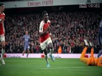 Ӣ������ �ϰ��ն�VSŵ����ɭ�� 20240824